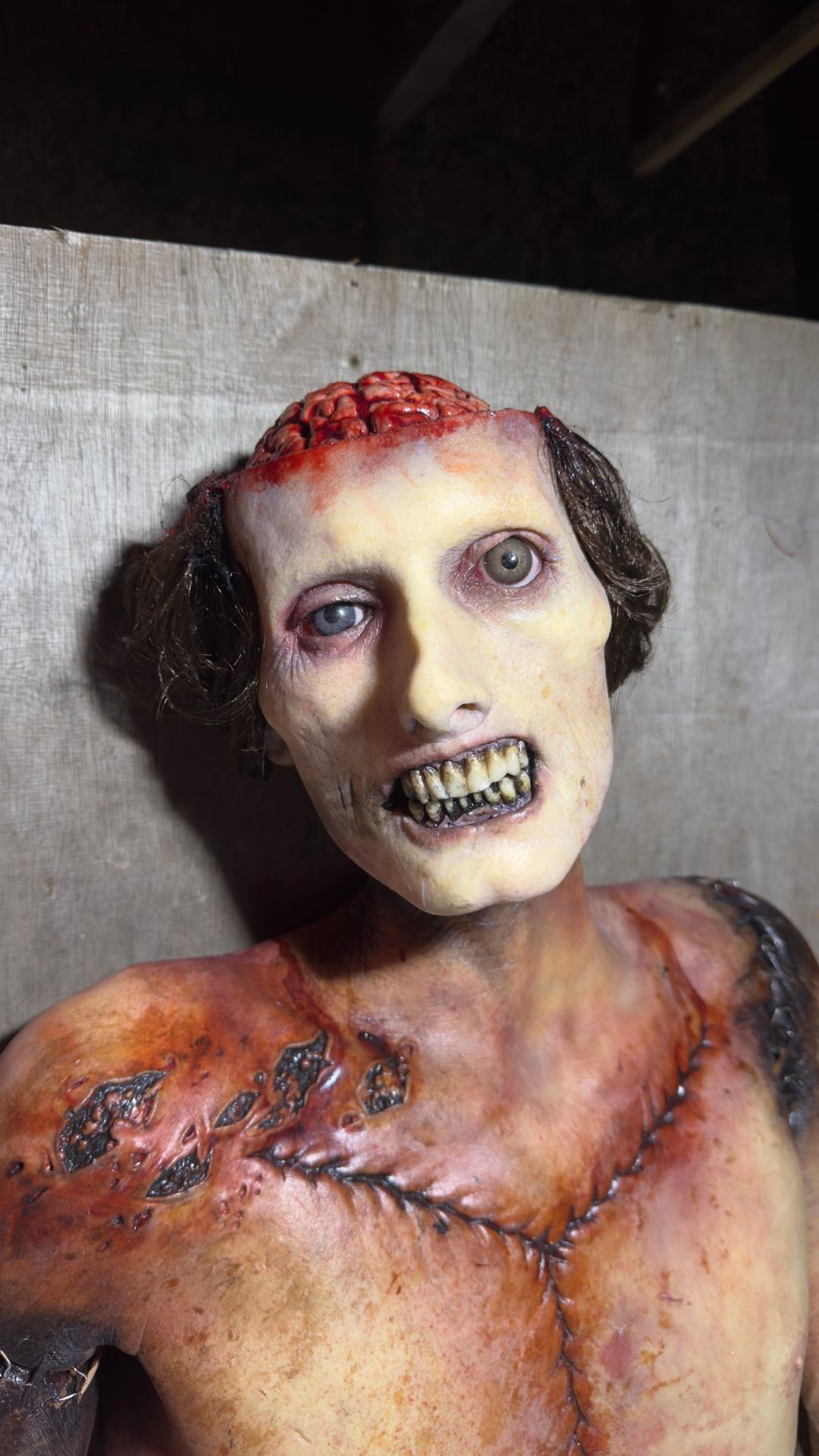 Detailed zombie prop with exposed brain and decayed skin, featuring realistic scars and wounds.